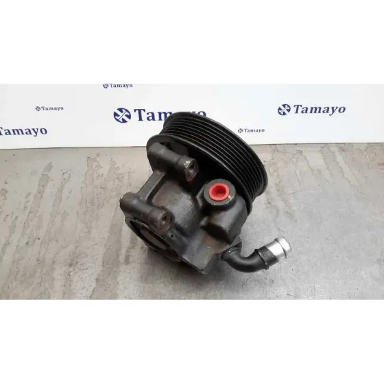 Bomba Direccion para Ford Transit Caja Cerrada '06