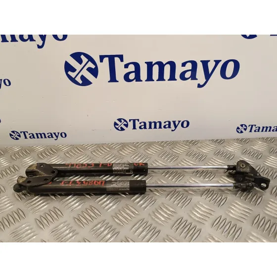 Amortiguadores Maletero / Porton para Honda Jazz (Gd1/5)