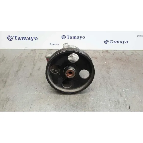 Bomba Direccion para Renault Laguna Ii (Bg0)