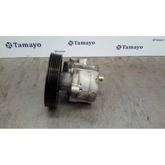 Bomba Direccion para Renault Laguna Ii (Bg0)