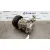 Compresor Aire Acondicionado para Toyota Rav 4 (A2)