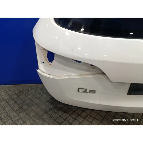 Porton Trasero para Audi Q5 (8R)