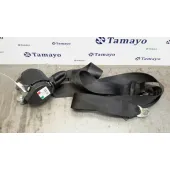 Cinturon Seguridad Trasero Derecho para Audi Q5 (8R)