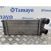 Intercooler para Citroën C4 Ii (Nc_)