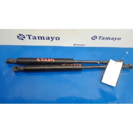 Amortiguadores Maletero / Porton para Bmw Serie 3 Berlina (E46)