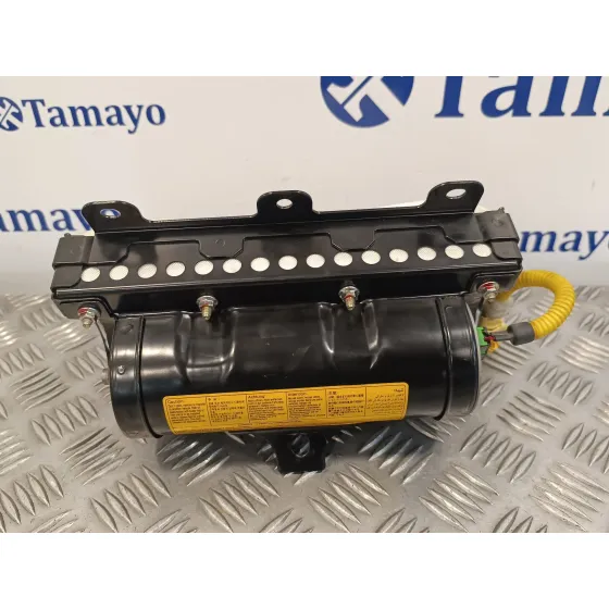 Airbag Delantero Derecho para Kia Carnival