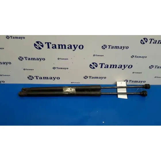 Amortiguadores Maletero / Porton para Audi Tt (8J3/8J9)