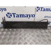 Radiador Direccion Asistida para Kia Carnival