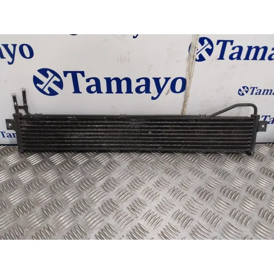 Radiador Direccion Asistida para Kia Carnival