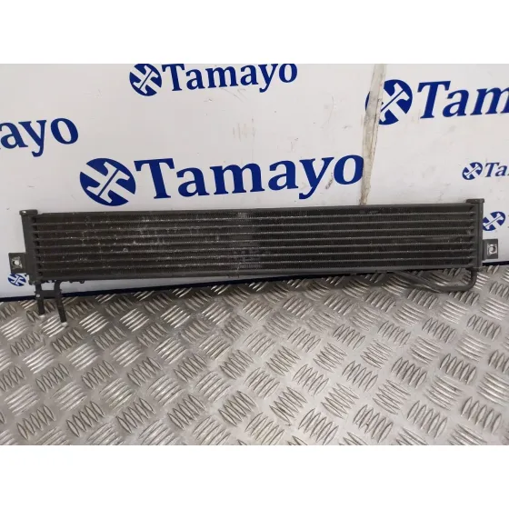 Radiador Direccion Asistida para Kia Carnival