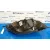 Faro Izquierdo para Peugeot Bipper