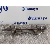 Rampa Inyectora para Peugeot Bipper