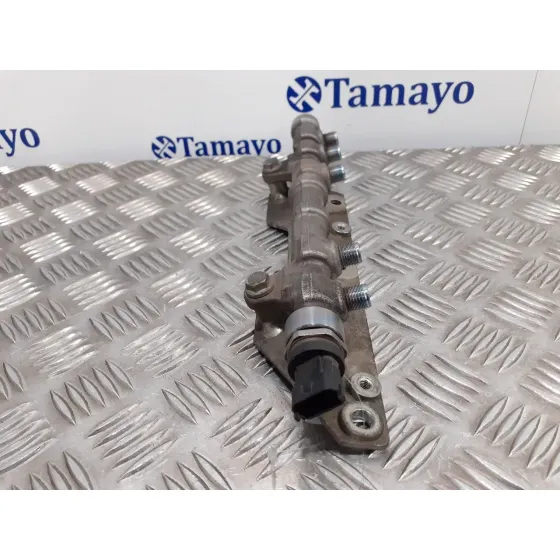 Rampa Inyectora para Peugeot Bipper