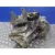 Caja Cambios para Peugeot 407