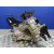 Caja Cambios para Hyundai Getz (Tb)