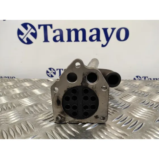 Enfriador Egr para Dacia Logan