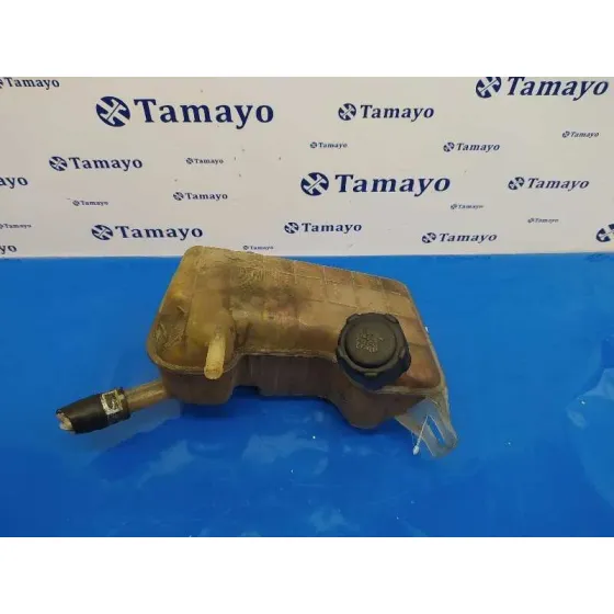 Deposito Expansion para Renault Scenic Ii
