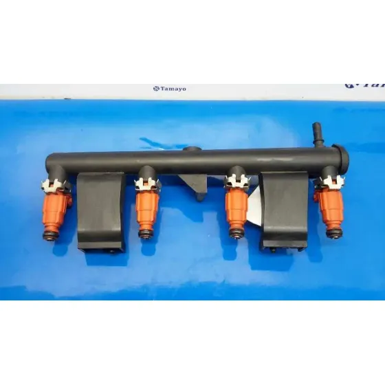 Rampa Inyectora para Peugeot 307 (S1)