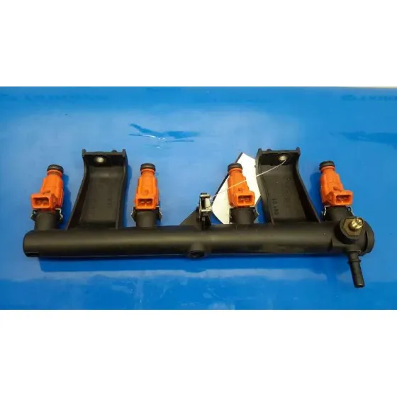Rampa Inyectora para Peugeot 307 (S1)