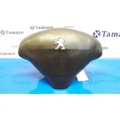 Airbag Delantero Izquierdo para Peugeot 407
