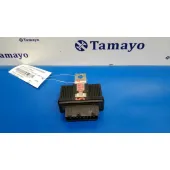 Modulo Electronico para Peugeot Boxer Caja Cerrada (Bat. 3450) (333)
