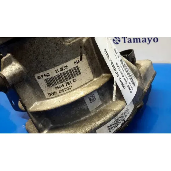 Bomba Servodireccion para Peugeot 308