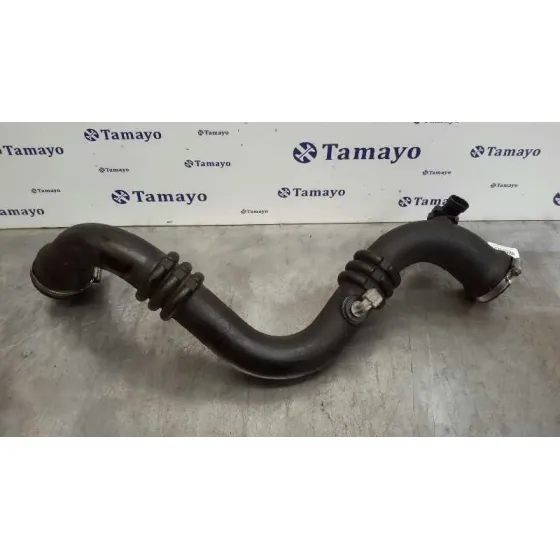 Tubo para Renault Vel Satis (Bj0)