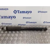Amortiguador Trasero Izquierdo para Nissan Juke (F15)