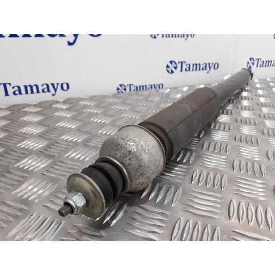 Amortiguador Trasero Izquierdo para Nissan Juke (F15)