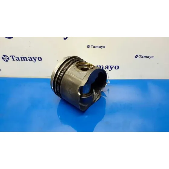 Piston para Bmw Serie 3 Berlina (E46)