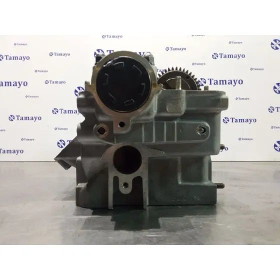 Culata para Volkswagen Passat Berlina (3B2)