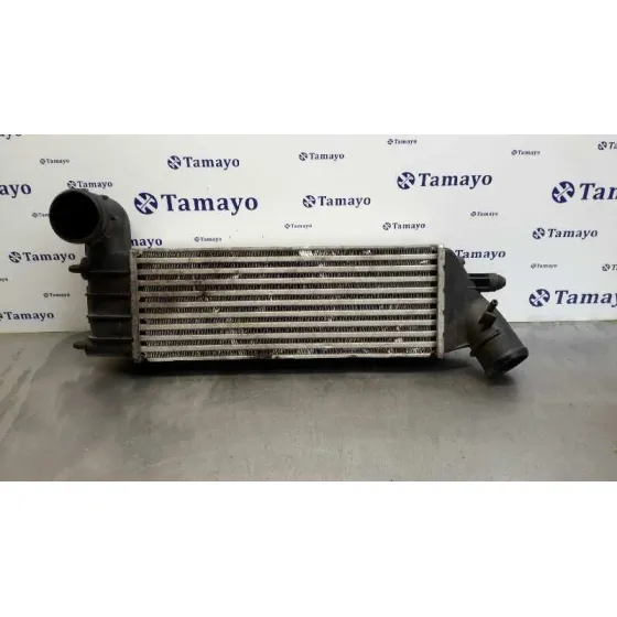 Intercooler para Citroën C8