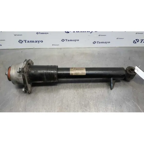 Amortiguador Trasero Derecho para Bmw X5 (E70)