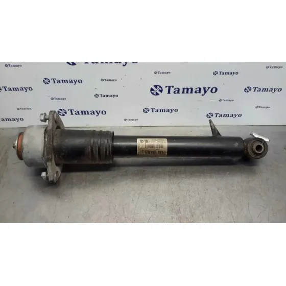 Amortiguador Trasero Izquierdo para Bmw X5 (E70)