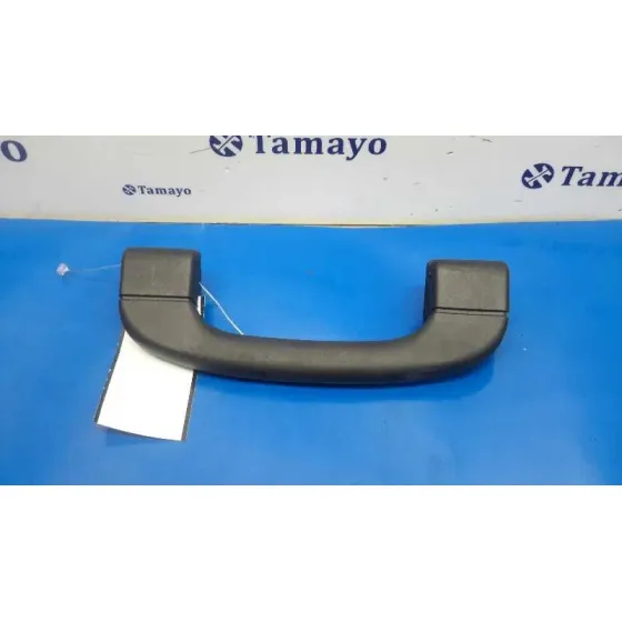 Asidero Delantero Derecho para Bmw X5 (E70)