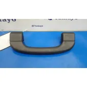 Asidero Delantero Izquierdo para Bmw X5 (E70)