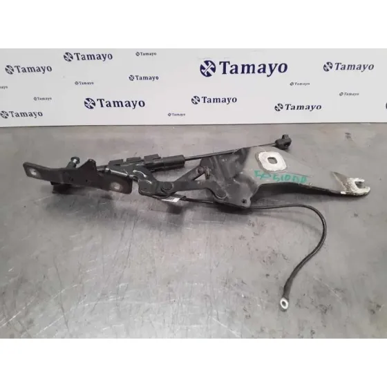 Amortiguadores Capo para Bmw X5 (E70)