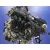Motor Completo para Mazda 3 Lim. (Bl)