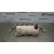 Airbag Delantero Derecho para Nissan Pulsar (C13)