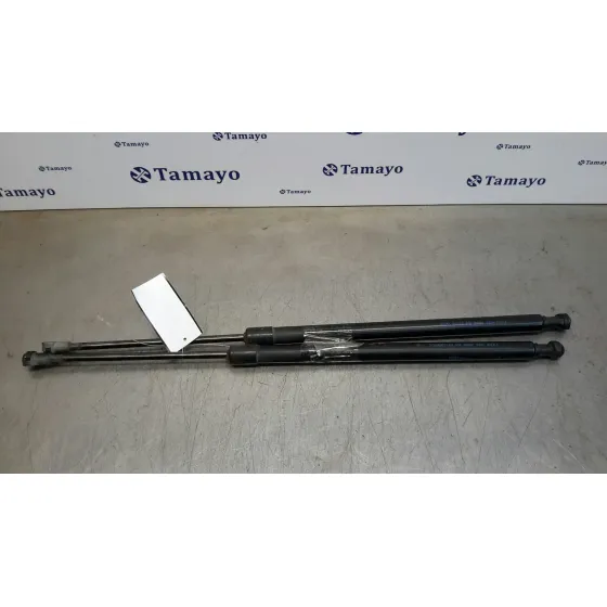 Amortiguadores Maletero / Porton para Nissan Pulsar (C13)