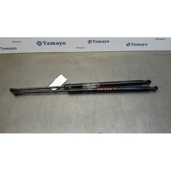 Amortiguadores Maletero / Porton para Nissan Pulsar (C13)