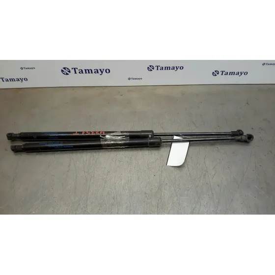 Amortiguadores Maletero / Porton para Nissan Pulsar (C13)