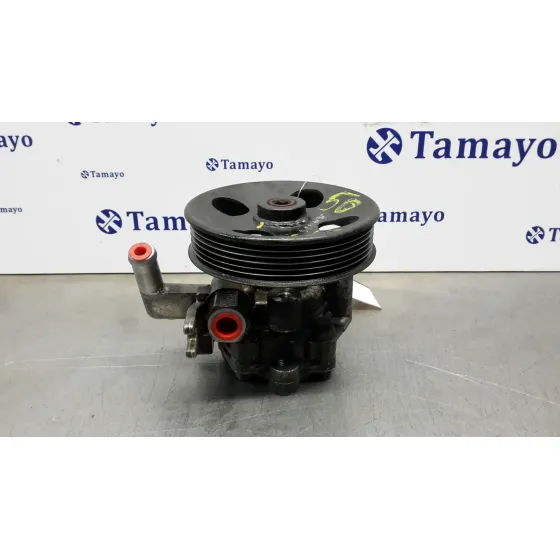Bomba Servodireccion para Hyundai Tucson (Jm)