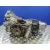 Caja Cambios para Audi A6 Berlina (4B2)