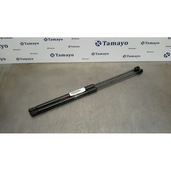 Amortiguadores Maletero / Porton para Seat Ibiza (Kj1)