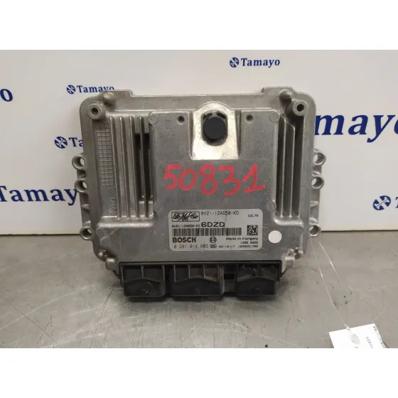 Centralita Motor Uce para Ford Fiesta (Cb1)
