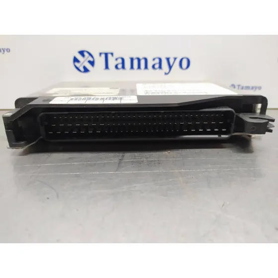 Centralita Cambio Automatico para Bmw Serie 5 Berlina (E39)