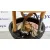 Aforador para Seat Ibiza Sc (6J1)