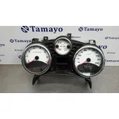 Cuadro Instrumentos para Peugeot 207