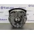 Airbag Delantero Izquierdo para Audi A4 Avant (8E)